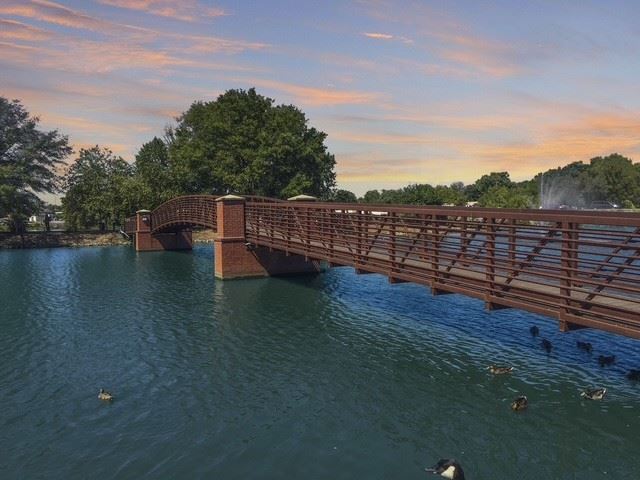 Friendship bridge over the lake